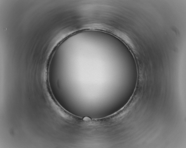 X0000111371040200907101207