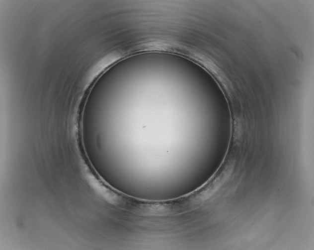 X0000111371042200907101207