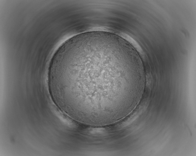 X0000111371043200907101207