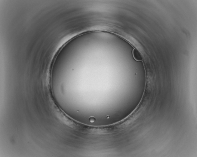 X0000111371044200907101207