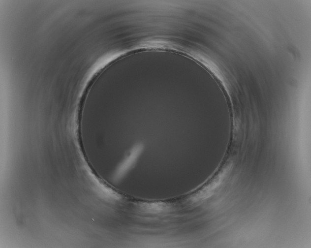 X0000111371045200907101207