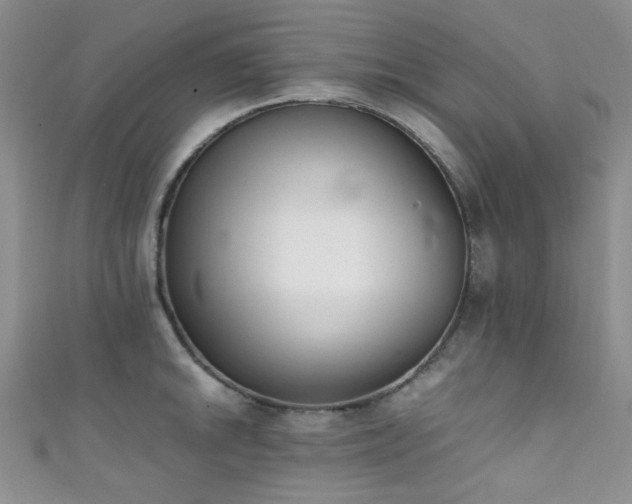 X0000111371046200907101207