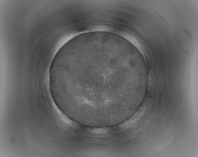 X0000111371047200907101207