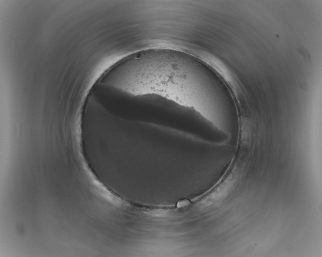X0000111371048200907101207