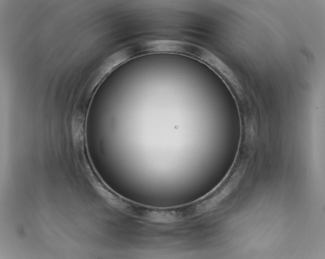 X0000111371049200907101207