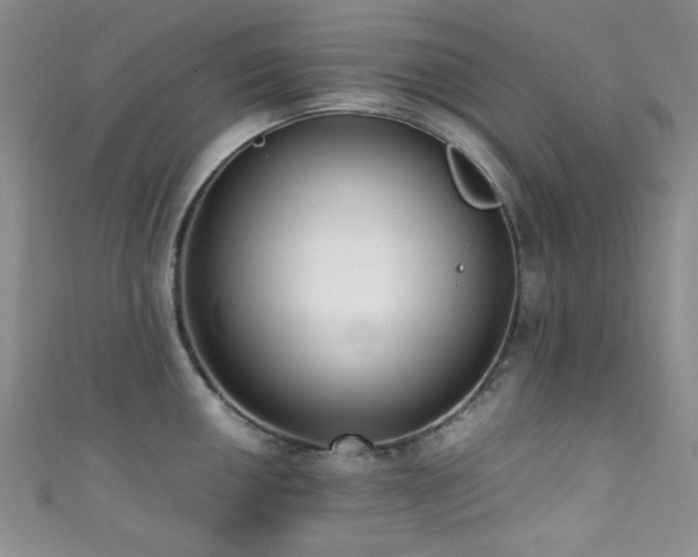 X0000111371050200907101207