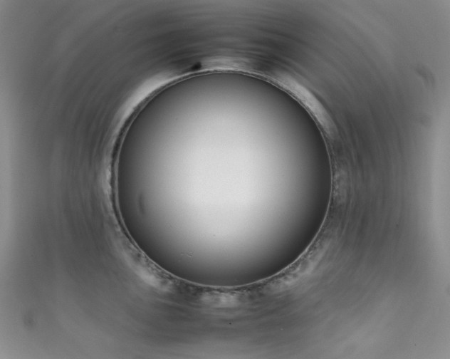 X0000111371051200907101207