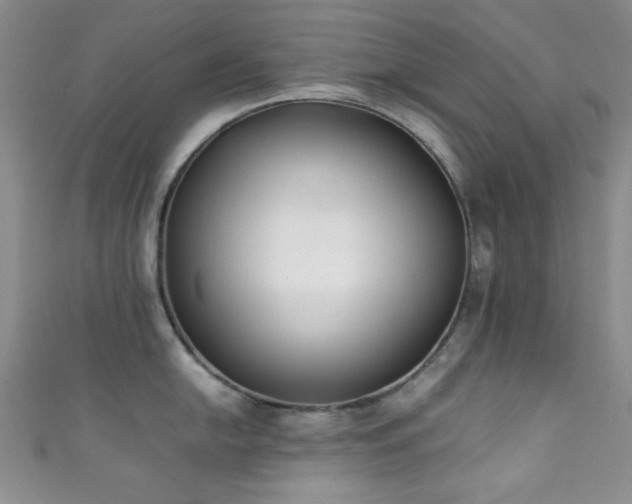 X0000111371054200907101207