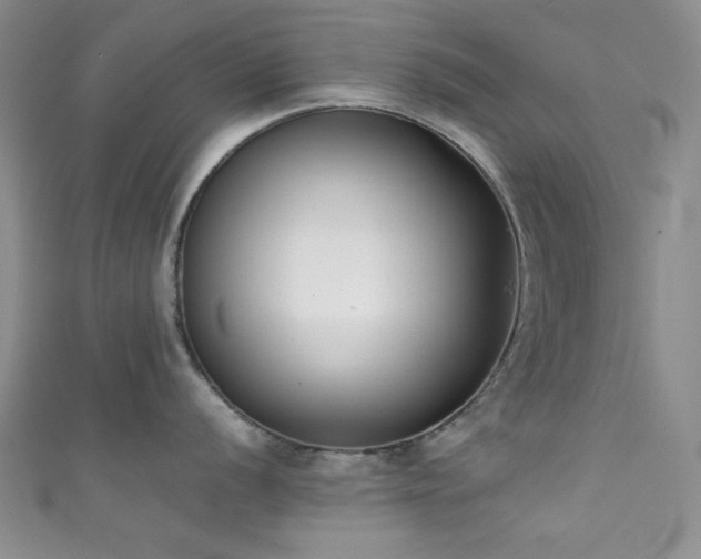 X0000111371056200907101207