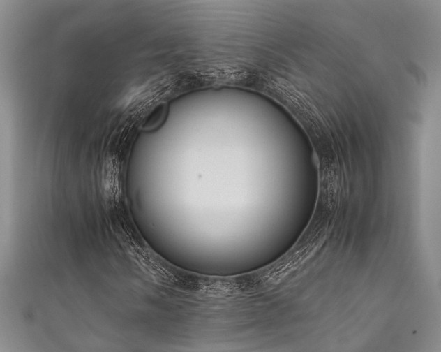 X0000111371058200907101206