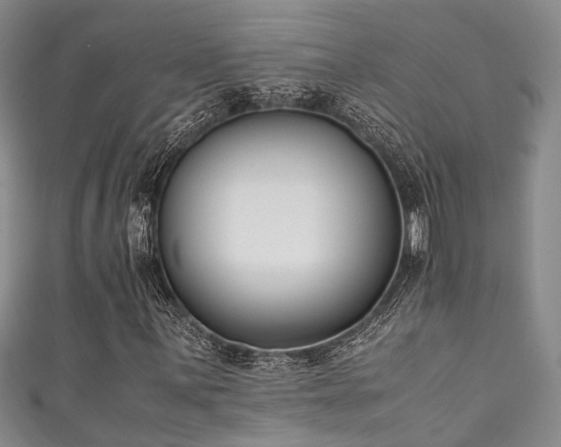 X0000111371059200907101206