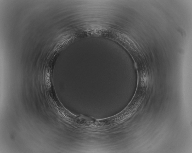 X0000111371060200907101206