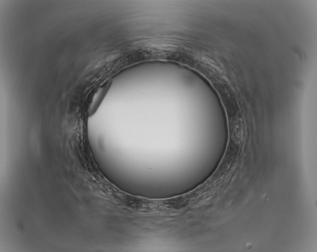 X0000111371061200907101206
