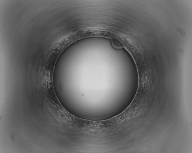 X0000111371062200907101206