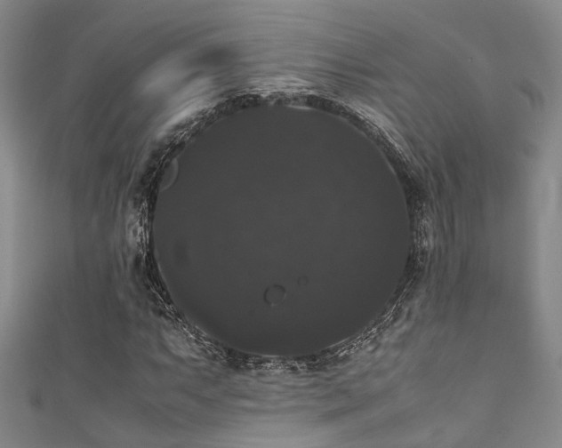 X0000111371063200907101206