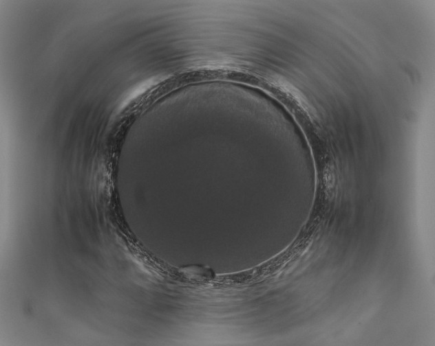 X0000111371064200907101206