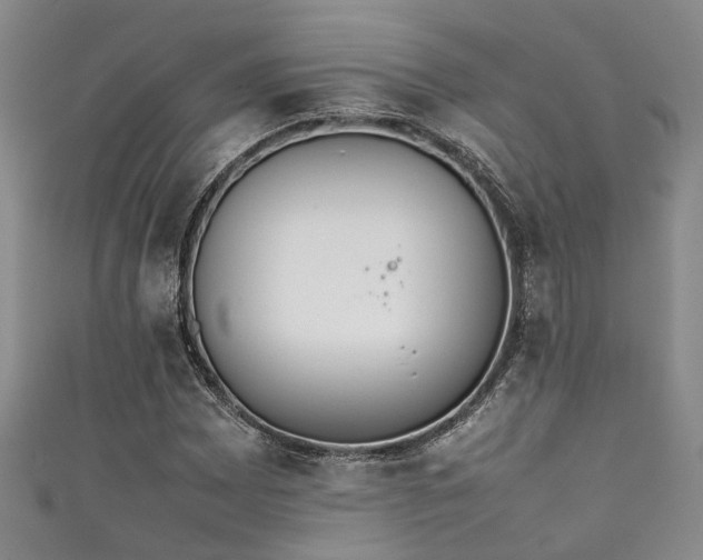 X0000111371065200907101206