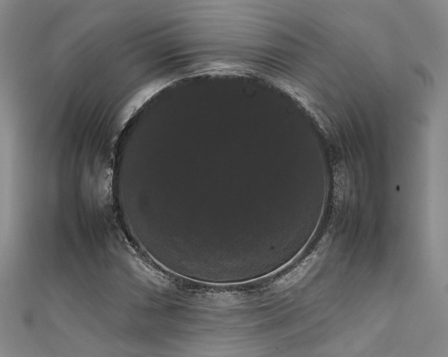 X0000111371066200907101206