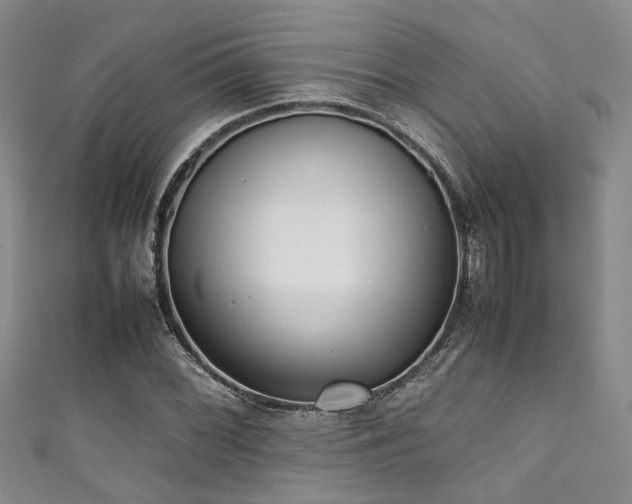 X0000111371068200907101206