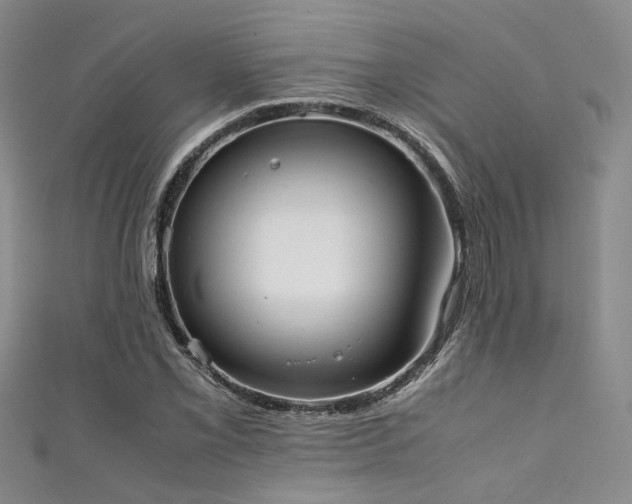 X0000111371069200907101206