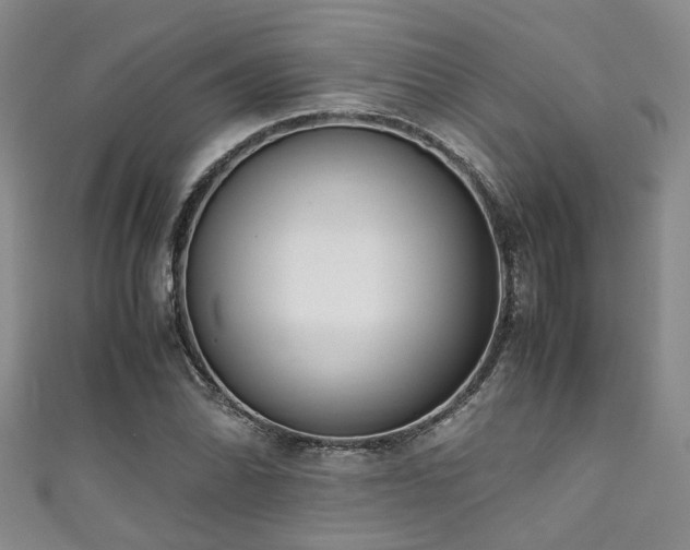 X0000111371070200907101206