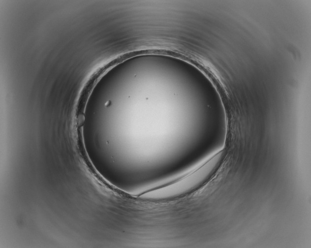 X0000111371072200907101206