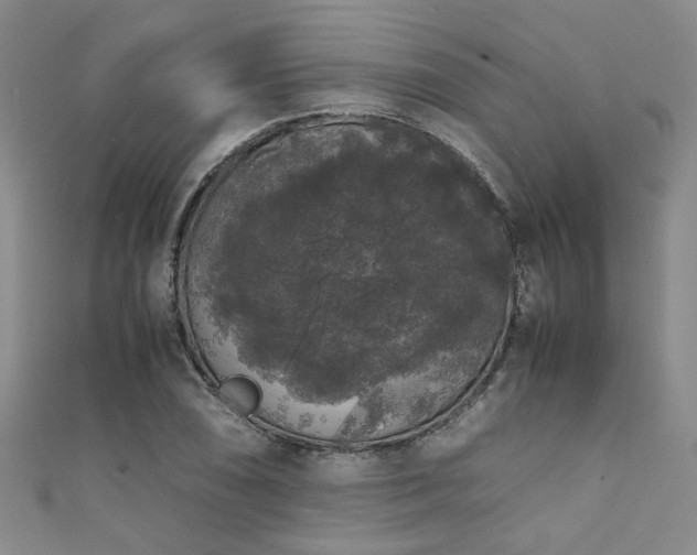 X0000111371074200907101206