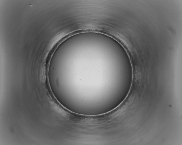 X0000111371075200907101206