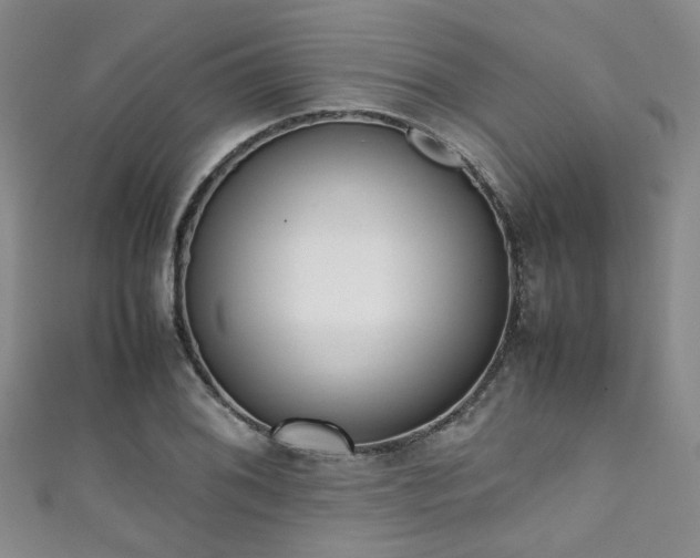 X0000111371076200907101206