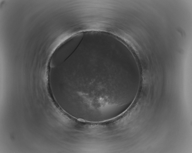X0000111371077200907101206