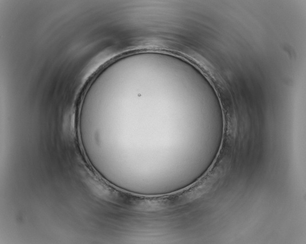 X0000111371078200907101206
