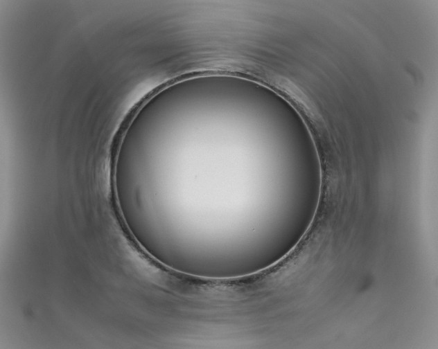 X0000111371079200907101206
