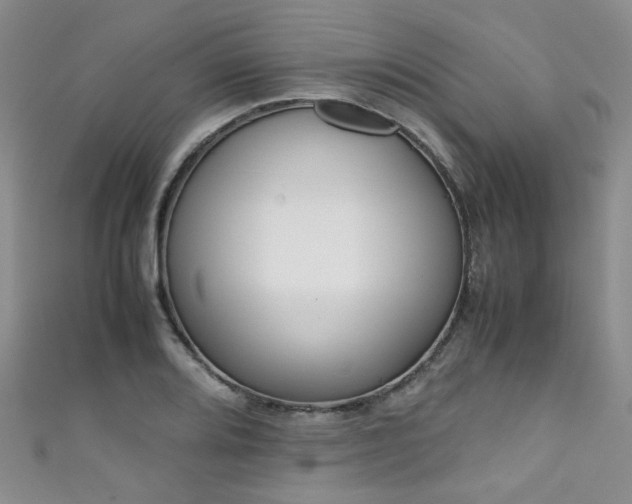 X0000111371080200907101206