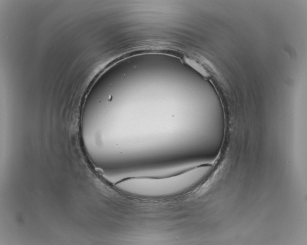 X0000111371081200907101206