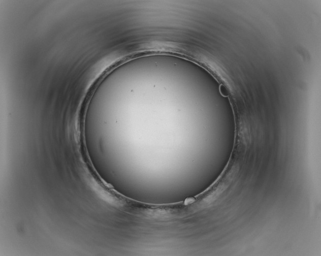 X0000111371082200907101206