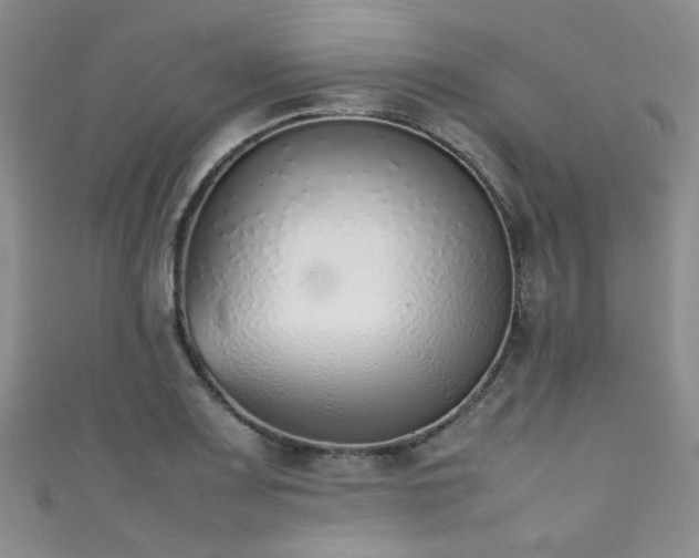 X0000111371083200907101206