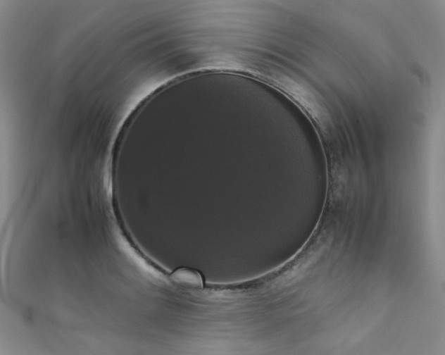 X0000111371084200907101206