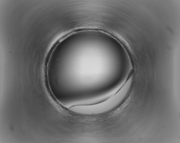 X0000111371085200907101206