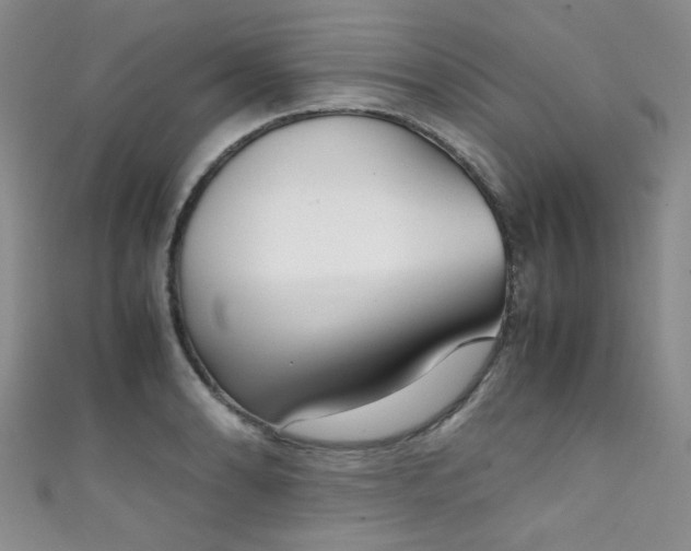 X0000111371086200907101206