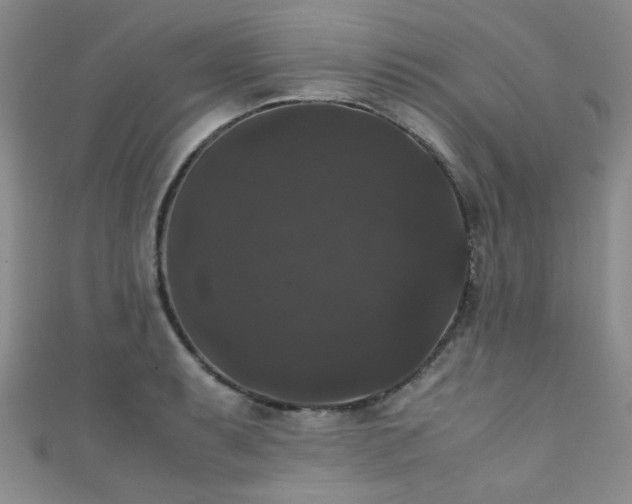 X0000111371087200907101206