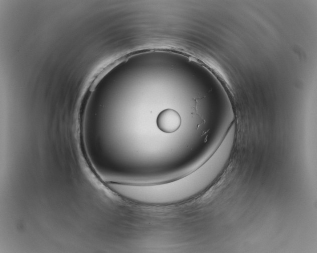 X0000111371088200907101206