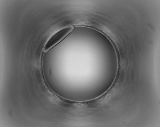 X0000111371089200907101206