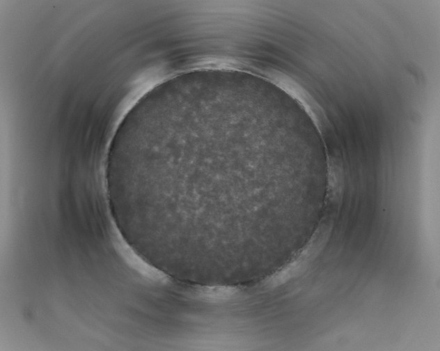 X0000111371090200907101206
