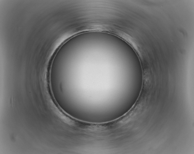 X0000111371091200907101206