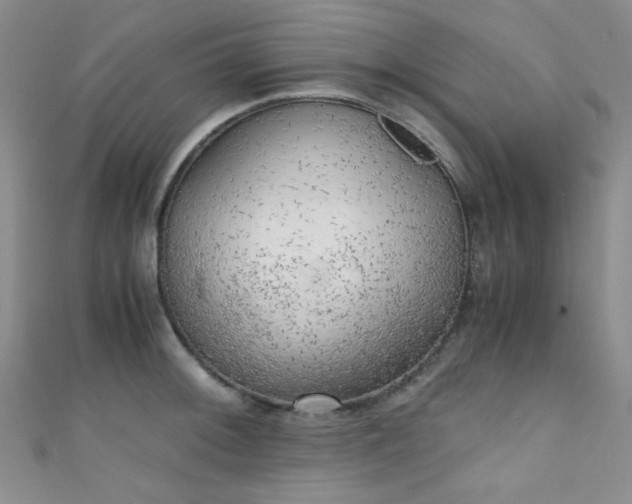 X0000111371092200907101206