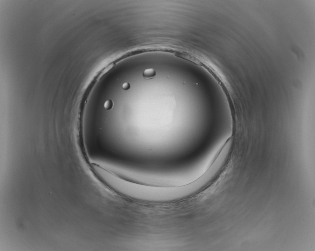 X0000111371093200907101206