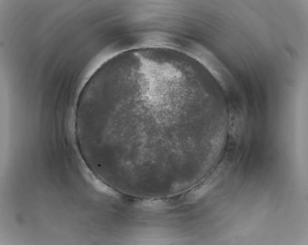 X0000111371094200907101206