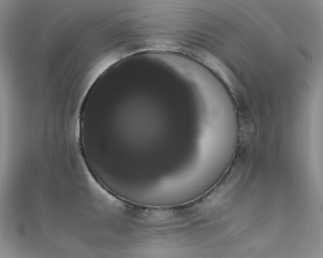 X0000111371095200907101206