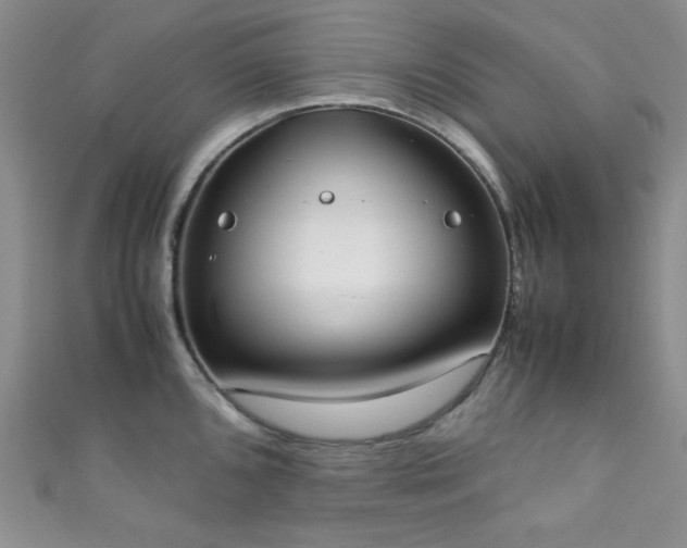 X0000111371096200907101206