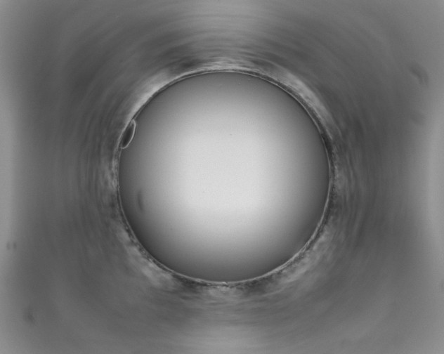 X0000111371097200907101206